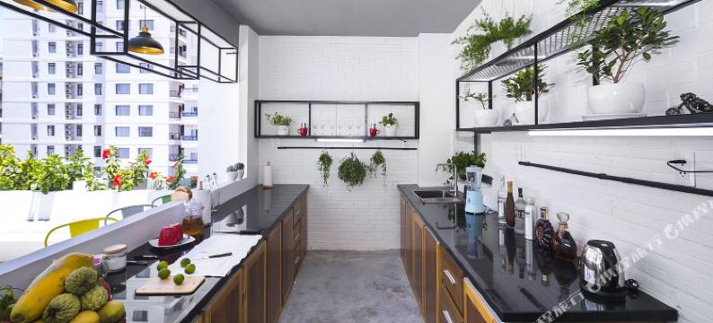 芽庄OPOX酒店(Opox Nha Trang)图片