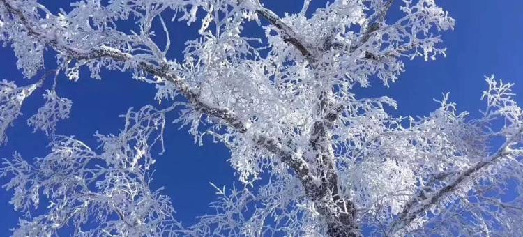 雪堡酒店(中国雪乡景区店)图片