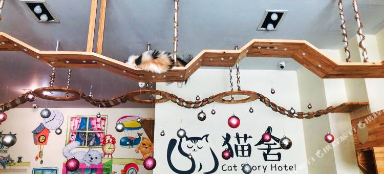 普吉岛猫舍精品客栈(Phuket Cathouse Boutique Inn)图片