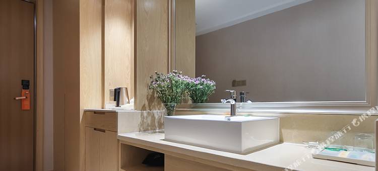 维也纳国际(南京南站南广场店)图片