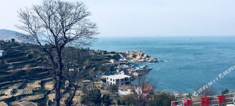 青岛从那以后青年旅社图片