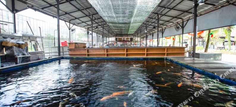 新加坡奔腾克兰芝农场度假村(D'Kranji Farm Resort)图片