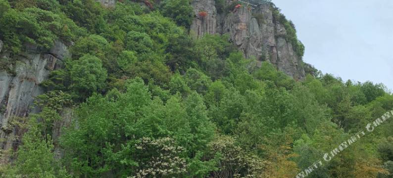 余姚醉仙楼饭店图片