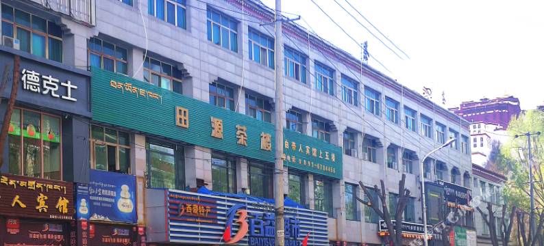 帝人酒店(拉萨布达拉宫店)图片