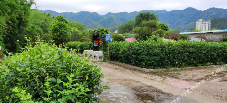新丰梅东温泉宾馆(梅中大道分店)图片