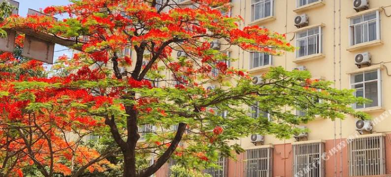 墨江华庭大酒店图片