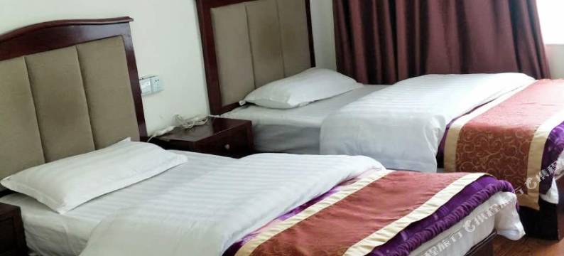 金川德青宾馆(观音路分店)图片