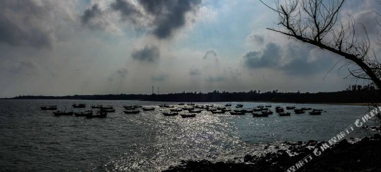 湛江碧海国际酒店图片