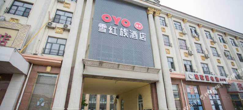 天津雪红族酒店图片