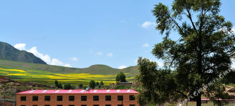 祁连牛心山农家山庄图片