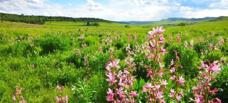 乌兰布统福贵园度假村图片