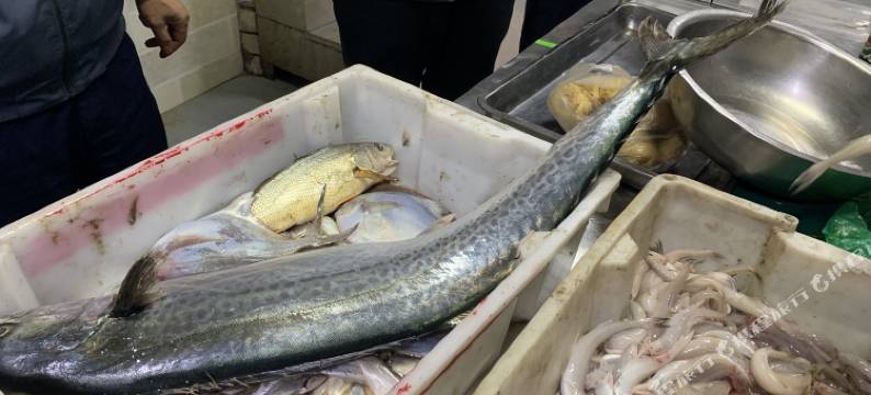 舟山桃花岛天龙山庄图片