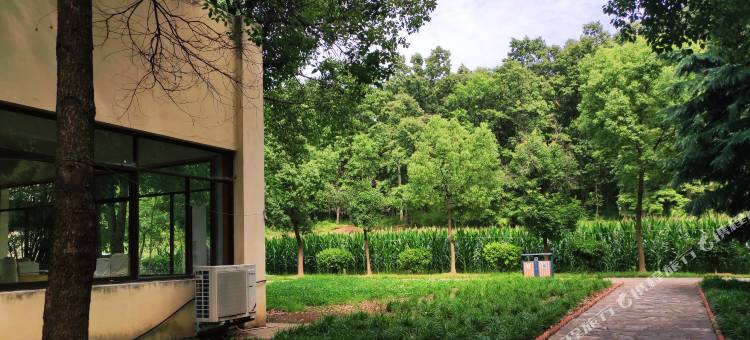 淅川香苑宾馆图片