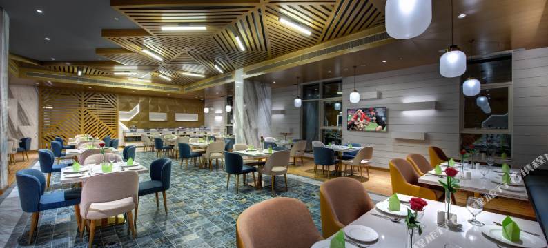 阿尔巴拉萨 S 酒店(The S Hotel Al Barsha)图片