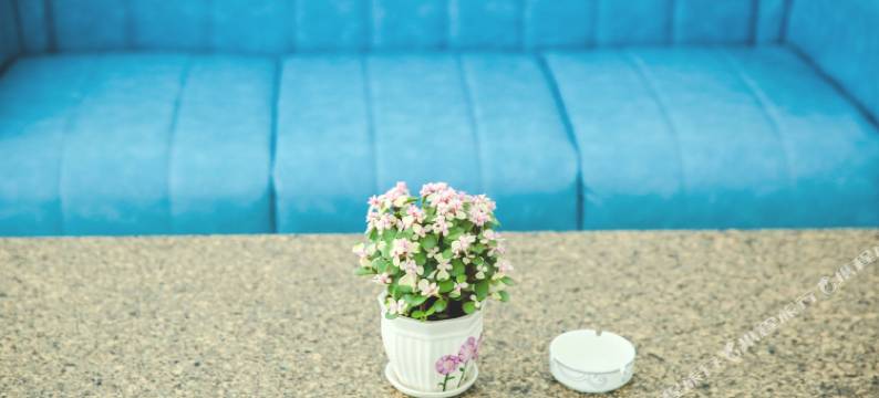 青岛君澜海居民宿(崂山风景区店)图片