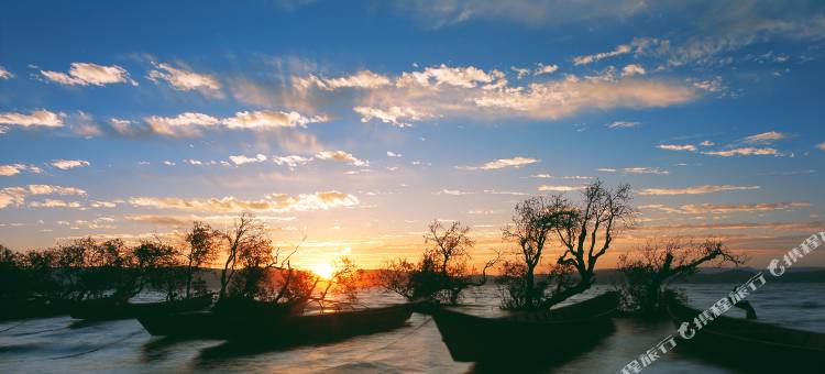 抚仙湖伊湖·宿图片