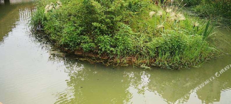 张家港松哥民宿图片