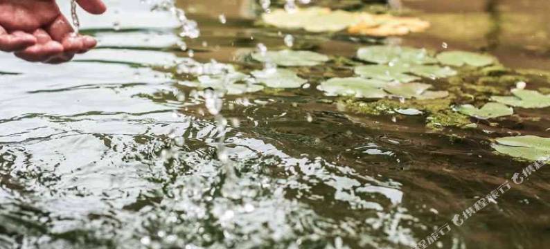 老君山溪上沐舍客栈图片