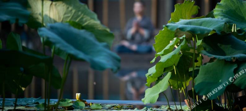 莫干山UNDO静心度假村图片