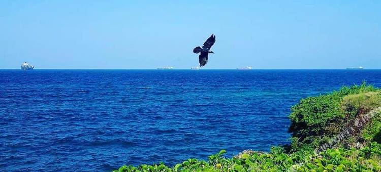 海崖酒店(Hotel Sea Cliff)图片