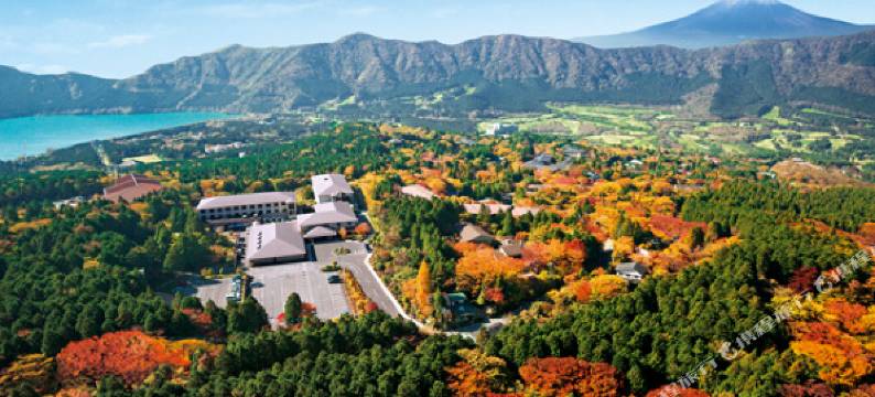 箱根绿色广场酒店(Hotel Green Plaza Hakone)图片
