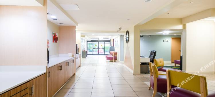 威廉斯堡温德姆呗盟酒店(Baymont by Wyndham Williamsburg)图片