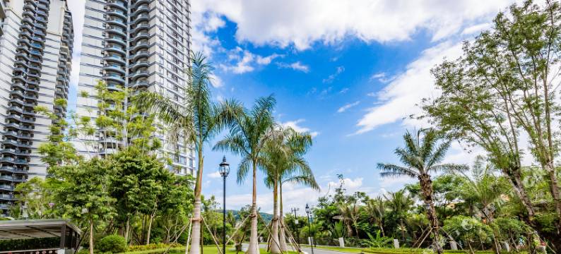 西双版纳赵红卫公寓(3号店)图片