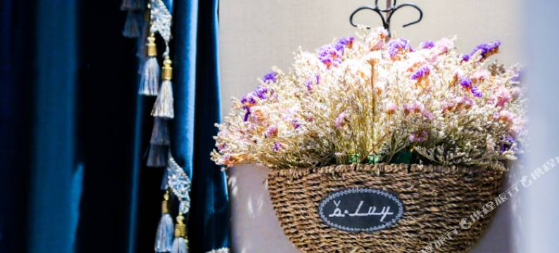 金莲花假日酒店(建国路店)图片