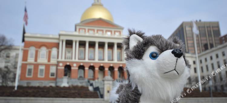 城南菠萝愉悦酒店(Staypineapple, A Delightful Hotel, South End)图片