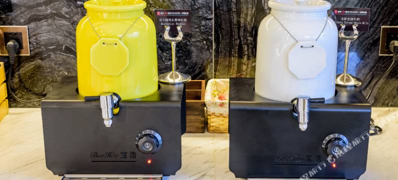 东方丽致酒店(成都春熙路太古里店)图片