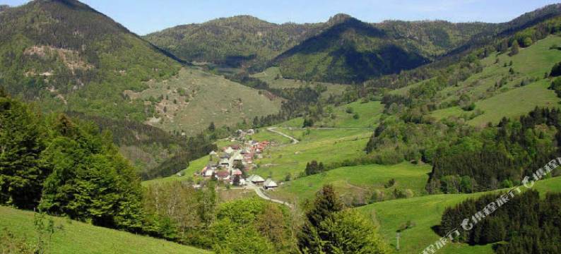 酒店及晚餐餐厅(Hotel Danner)图片