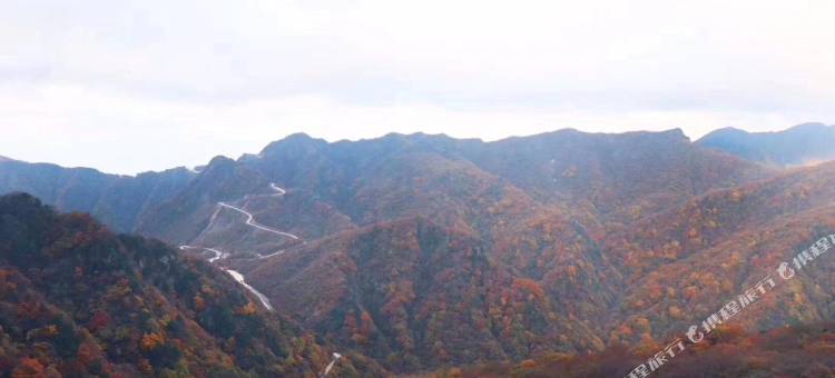 光雾山友缘客栈图片