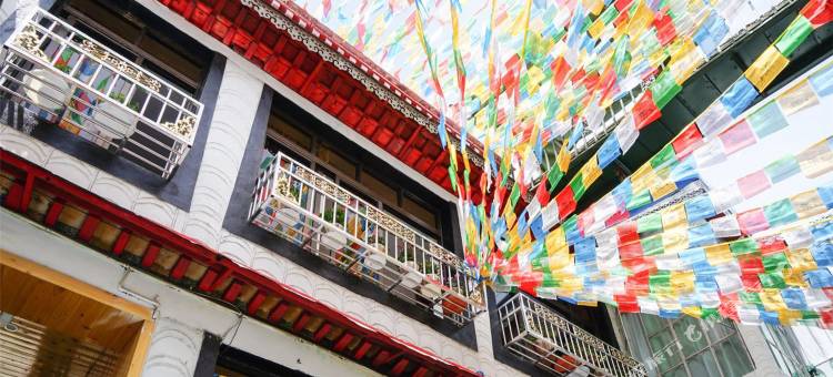 拉萨宫悦别院(八廓街店)图片