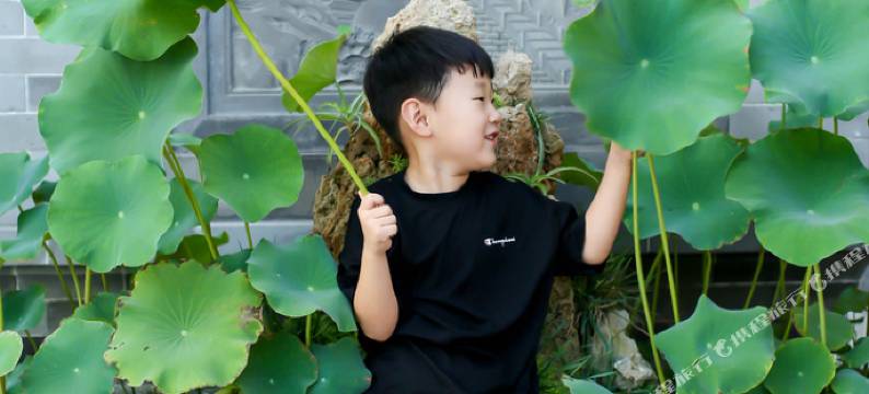 曲阜桂泽园民宿图片