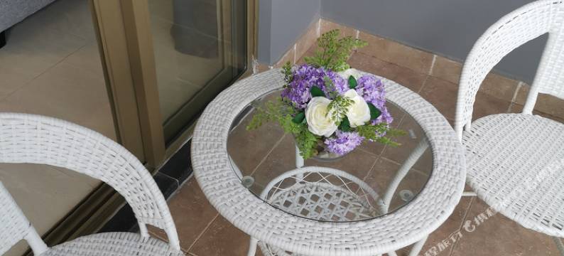 北海萌宠观海民宿(2号店)图片