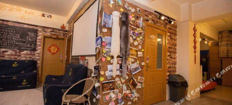 哈尔滨逆时光青年旅舍图片