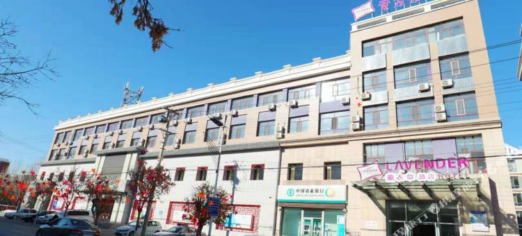 薰衣草酒店(镇赉店)图片