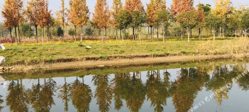 西安玉镜台温泉酒店图片