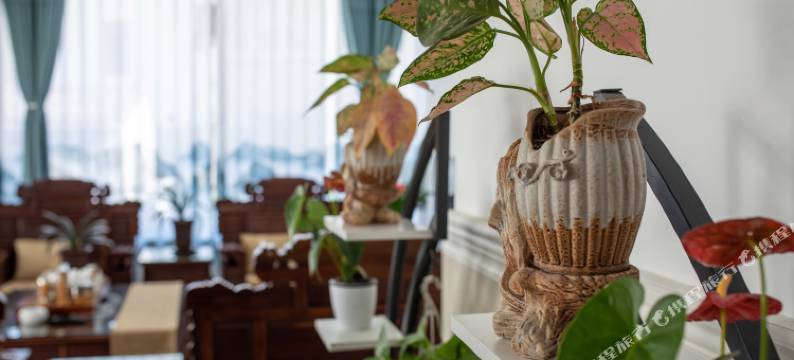 雁荡山雅乐居客栈图片