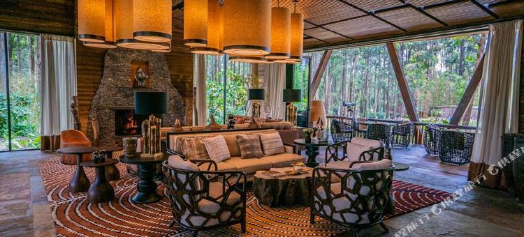 One&Only猩林栖境(One&Only Gorilla's Nest)图片