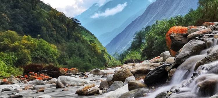 海螺沟有柿无事别院图片