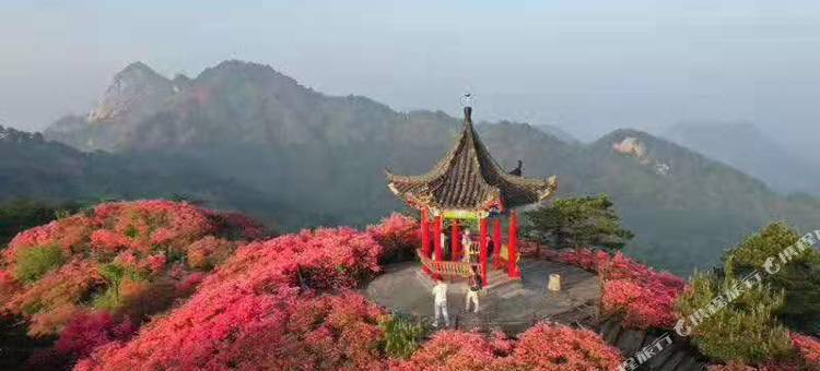 布丁连锁酒店(麻城北站店)图片