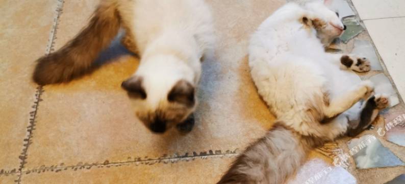 厦门右见海岸客栈图片