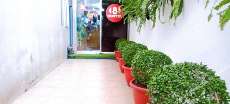 8青年旅馆(8Hostel)图片