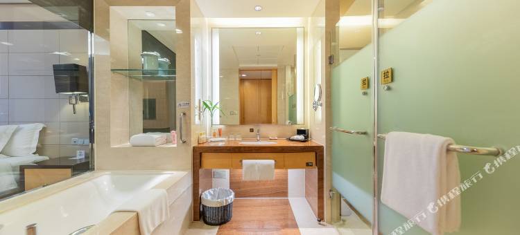 宜昌富力皇冠假日酒店(三峡游客中心伍家岗万达广场店)图片