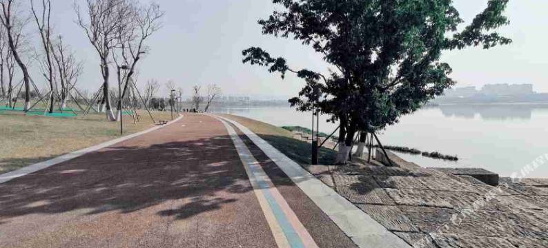 成都银杏公寓图片