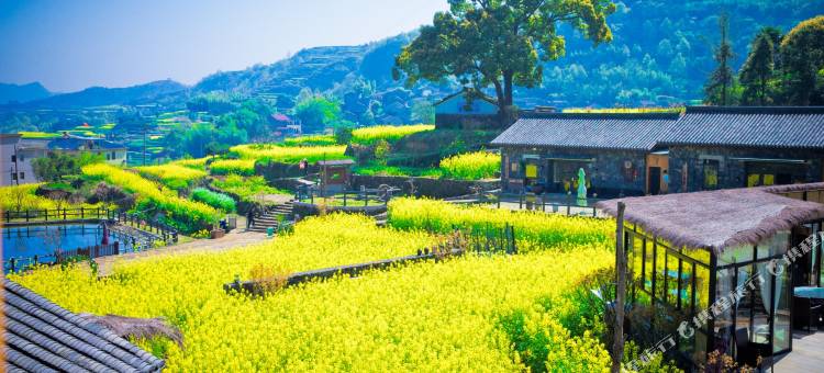 宁海花源里民宿图片