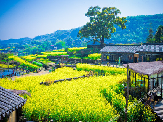 宁海花源里民宿
