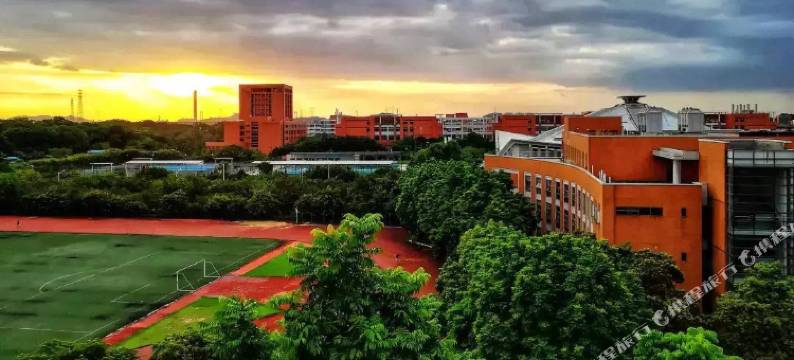 广州绿岛公寓图片