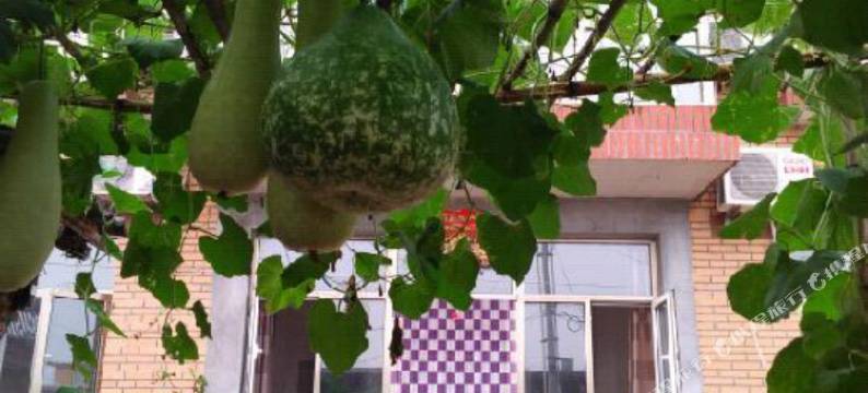 北京延庆远方乐农家院图片